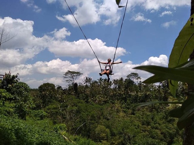 Waterfalls Rice Fields Swing Photo